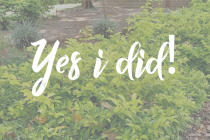 Yes-i-did