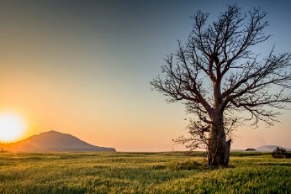 pexels-sunil-patel-599708