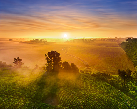 morning image